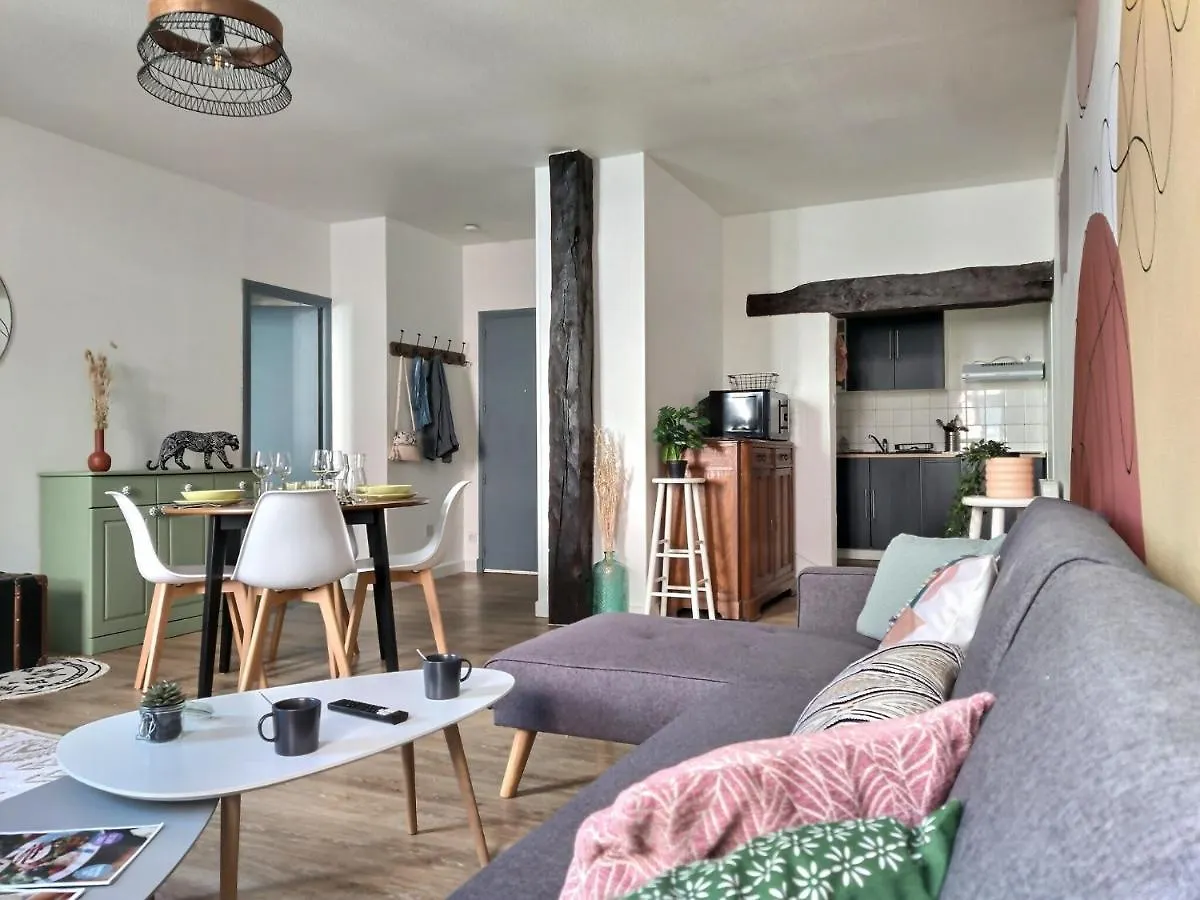 Apartment Les Vents De Boheme - Spacieux - Centre Ville Albi France