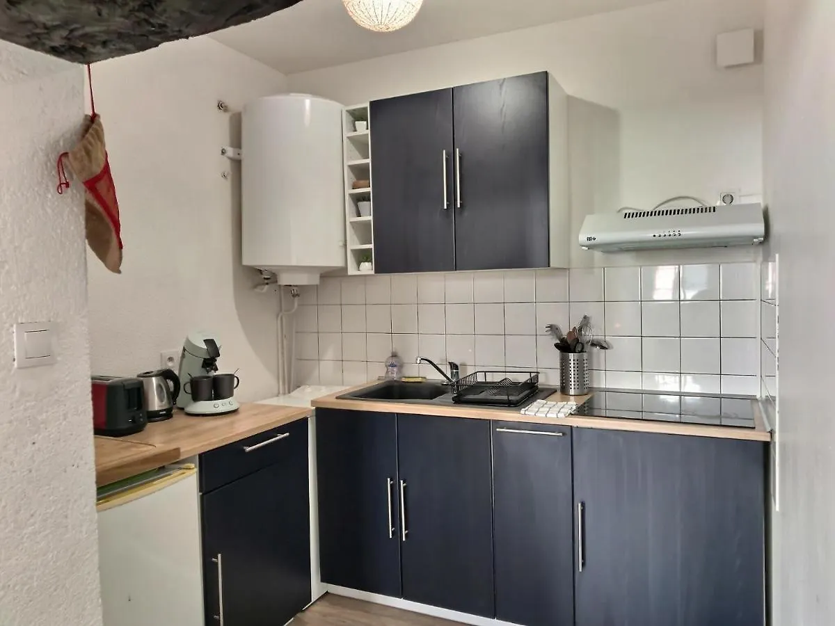 Les Vents De Boheme - Spacieux - Centre Ville Albi Apartment